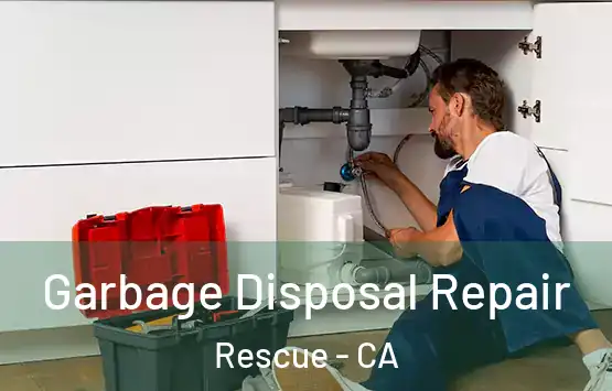  Garbage Disposal Repair Rescue - CA
