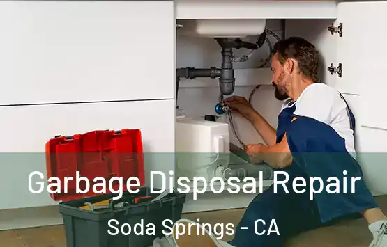  Garbage Disposal Repair Soda Springs - CA