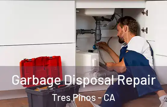  Garbage Disposal Repair Tres Pinos - CA