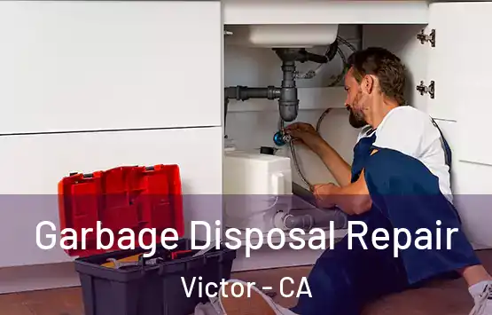  Garbage Disposal Repair Victor - CA