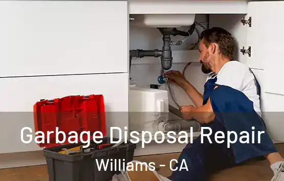  Garbage Disposal Repair Williams - CA