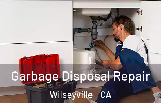  Garbage Disposal Repair Wilseyville - CA