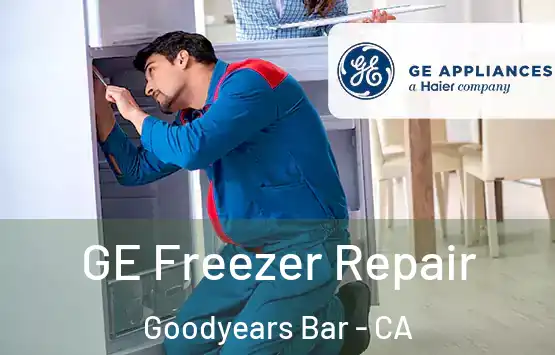  GE Freezer Repair Goodyears Bar - CA