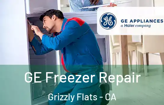  GE Freezer Repair Grizzly Flats - CA