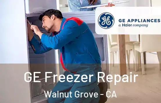  GE Freezer Repair Walnut Grove - CA