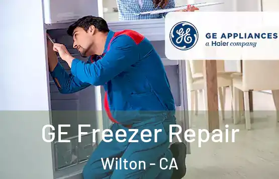  GE Freezer Repair Wilton - CA