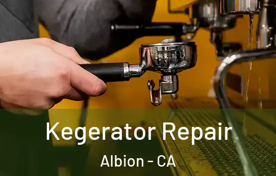  Kegerator Repair Albion - CA