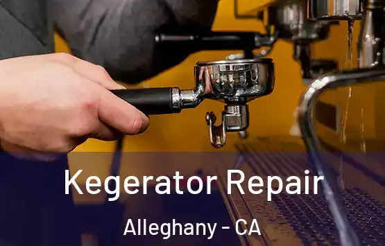  Kegerator Repair Alleghany - CA