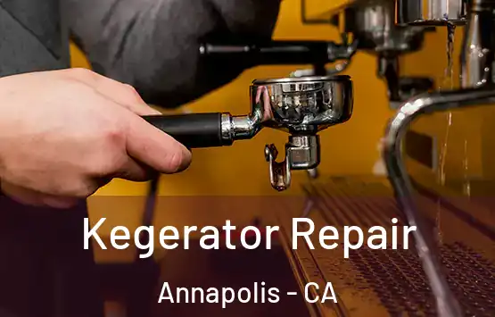  Kegerator Repair Annapolis - CA