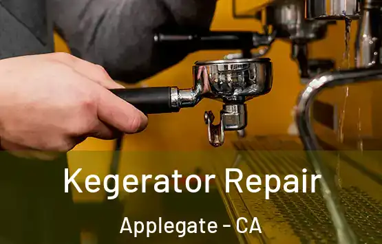  Kegerator Repair Applegate - CA