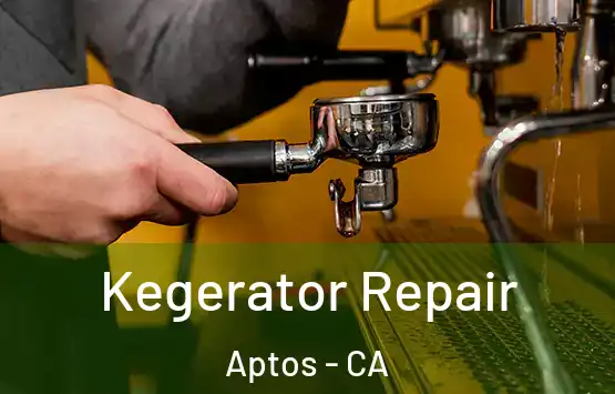  Kegerator Repair Aptos - CA