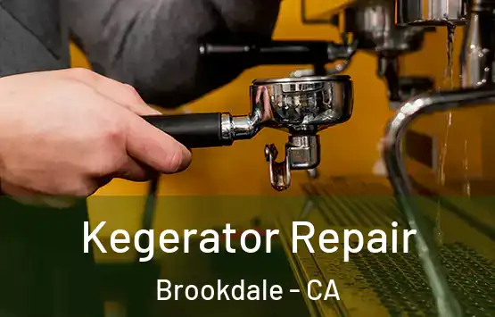  Kegerator Repair Brookdale - CA