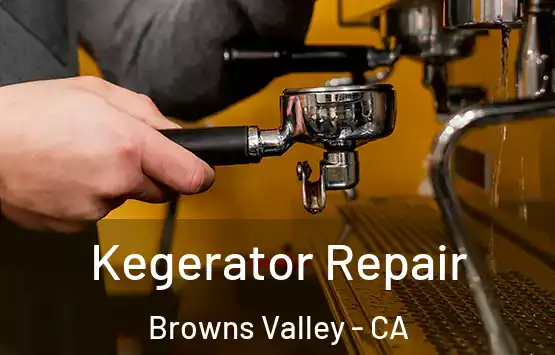  Kegerator Repair Browns Valley - CA