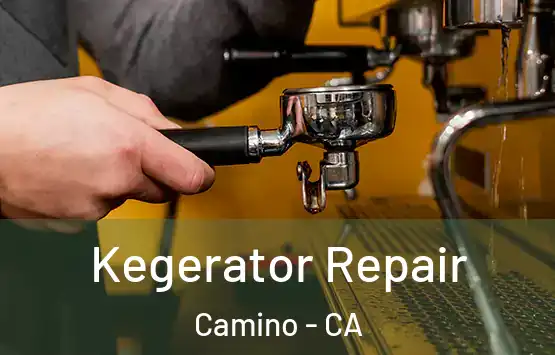  Kegerator Repair Camino - CA
