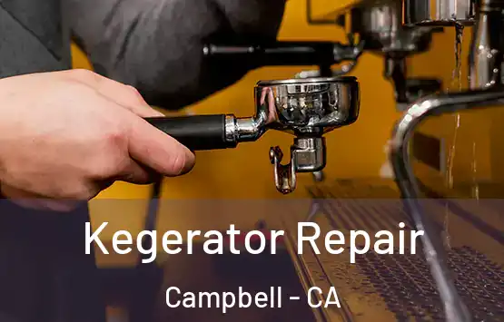  Kegerator Repair Campbell - CA