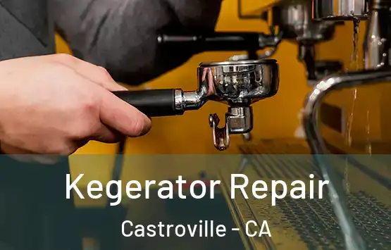  Kegerator Repair Castroville - CA