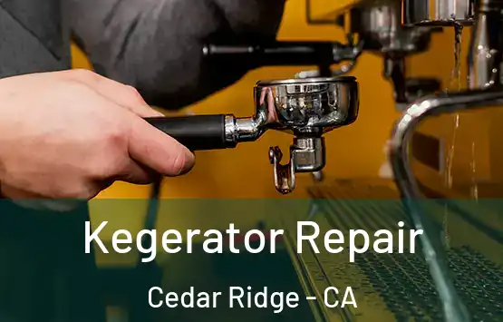  Kegerator Repair Cedar Ridge - CA