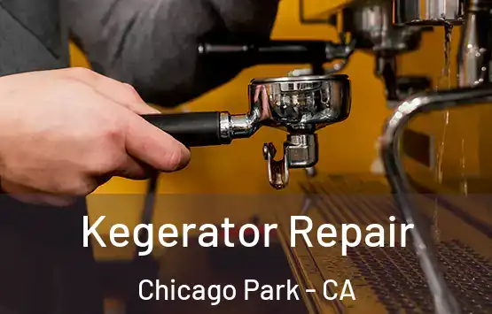  Kegerator Repair Chicago Park - CA