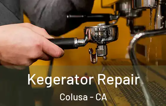  Kegerator Repair Colusa - CA