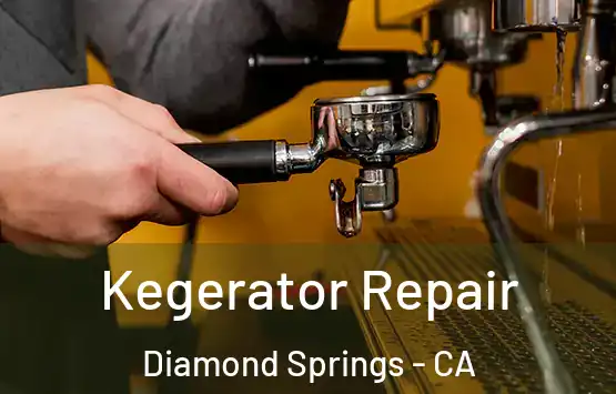  Kegerator Repair Diamond Springs - CA