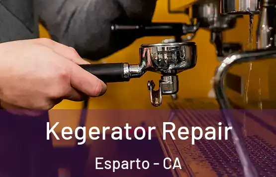  Kegerator Repair Esparto - CA