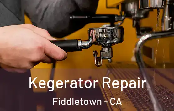  Kegerator Repair Fiddletown - CA