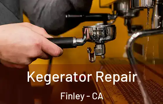  Kegerator Repair Finley - CA