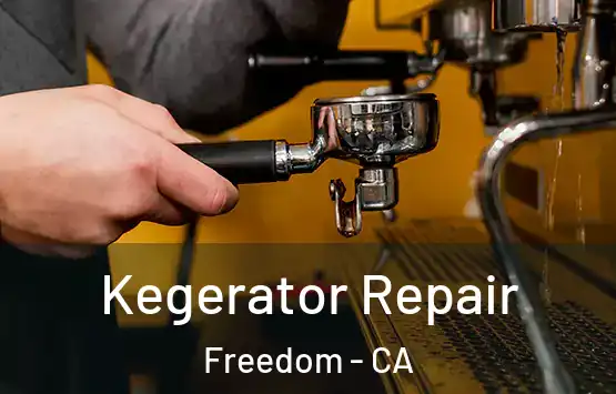 Kegerator Repair Freedom - CA