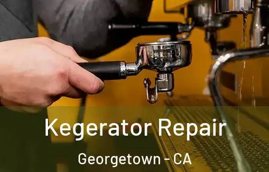  Kegerator Repair Georgetown - CA