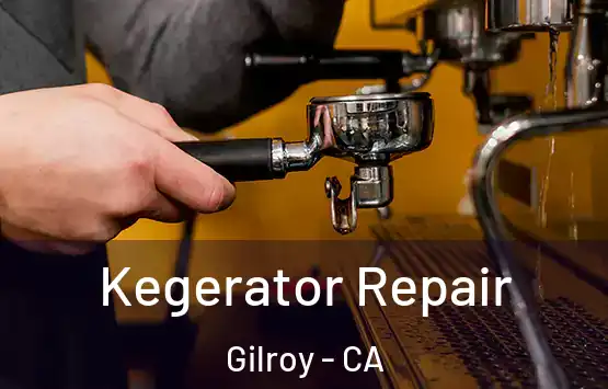  Kegerator Repair Gilroy - CA