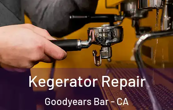  Kegerator Repair Goodyears Bar - CA