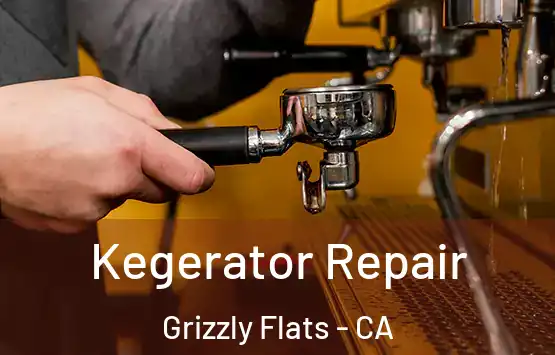  Kegerator Repair Grizzly Flats - CA