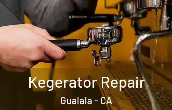  Kegerator Repair Gualala - CA