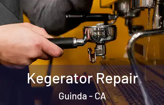  Kegerator Repair Guinda - CA