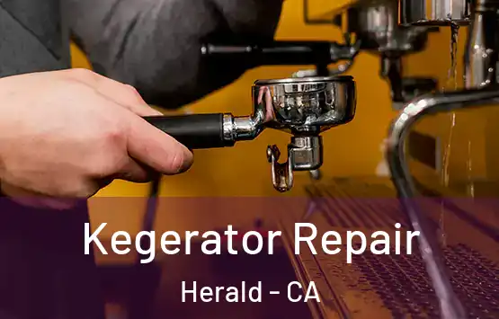 Kegerator Repair Herald - CA