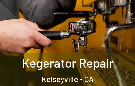  Kegerator Repair Kelseyville - CA