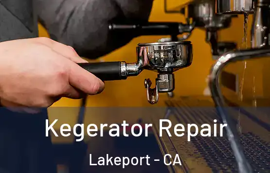  Kegerator Repair Lakeport - CA
