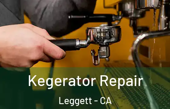  Kegerator Repair Leggett - CA