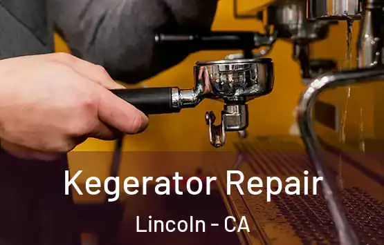 Kegerator Repair Lincoln - CA