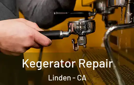  Kegerator Repair Linden - CA