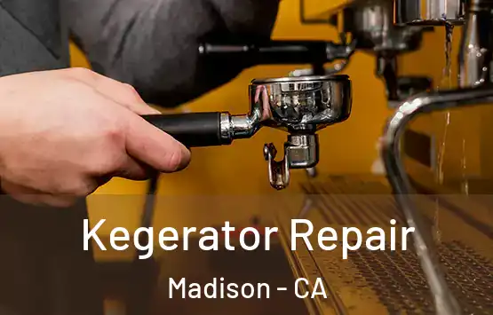  Kegerator Repair Madison - CA