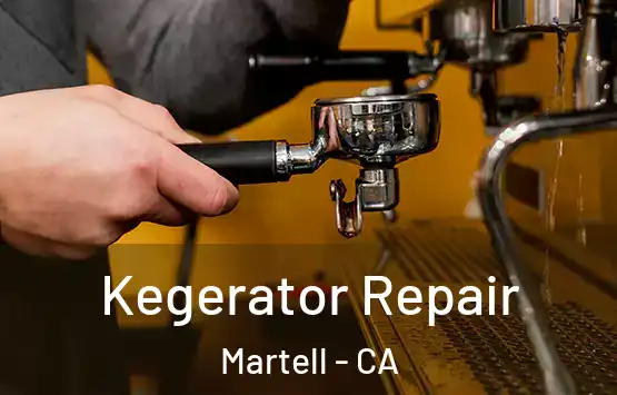  Kegerator Repair Martell - CA