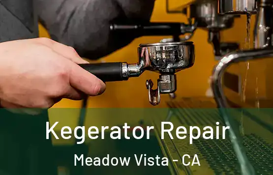  Kegerator Repair Meadow Vista - CA