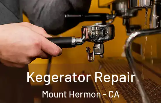  Kegerator Repair Mount Hermon - CA