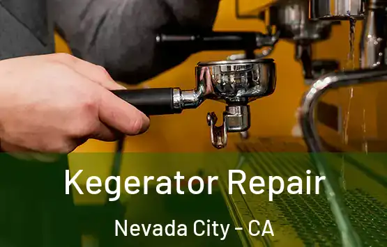  Kegerator Repair Nevada City - CA