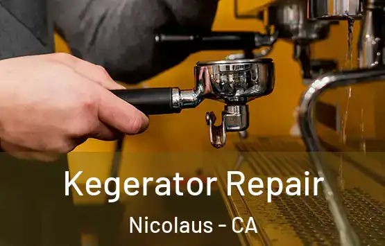  Kegerator Repair Nicolaus - CA