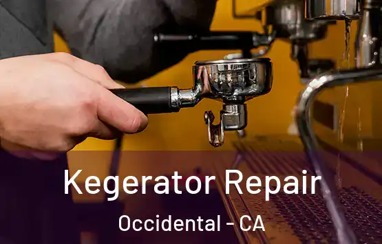  Kegerator Repair Occidental - CA