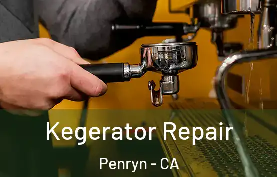  Kegerator Repair Penryn - CA
