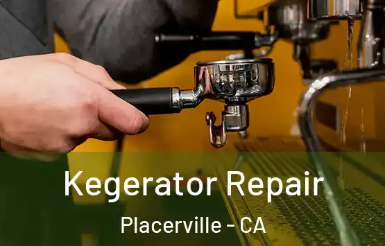  Kegerator Repair Placerville - CA