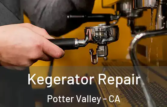  Kegerator Repair Potter Valley - CA
